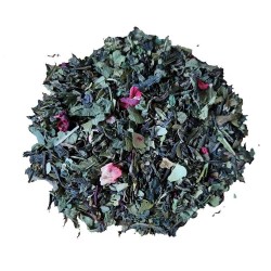 Le secret des Nantaises -...