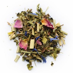 L'arbre du voyageur - Boîte...