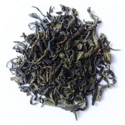 À l'ombre des citronniers -...